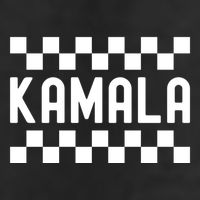 Checkered Kamala Black And White Checkerboard Funny Gift Adult Drive Performance Visor
