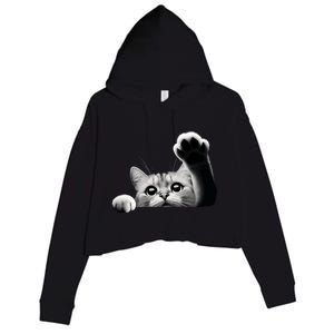 Cute Kitten Big Eyes Cat Outstretched Paw Crop Fleece Hoodie