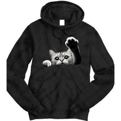 Cute Kitten Big Eyes Cat Outstretched Paw Tie Dye Hoodie