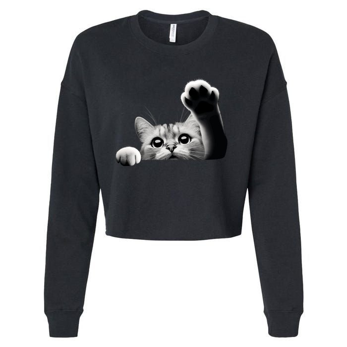 Cute Kitten Big Eyes Cat Outstretched Paw Cropped Pullover Crew