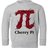 C.O.B.R.A Kai Cherry Pi Toddler Sweatshirt
