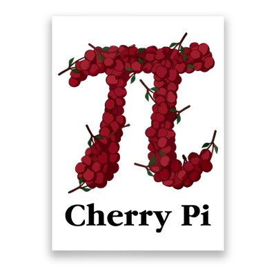 C.O.B.R.A Kai Cherry Pi Poster