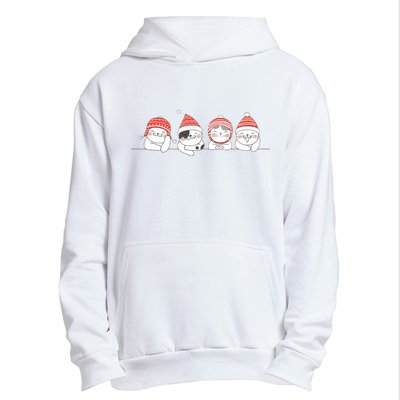 Cute Kitty Cats Christmas, Festive Urban Pullover Hoodie