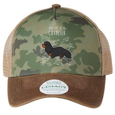 Cavalier King Charles Spaniel Dog Black Tan Funny Anatomy Legacy Tie Dye Trucker Hat