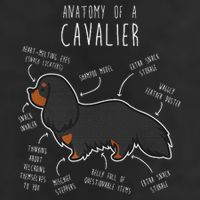 Cavalier King Charles Spaniel Dog Black Tan Funny Anatomy 7 Panel Mesh Trucker Snapback Hat