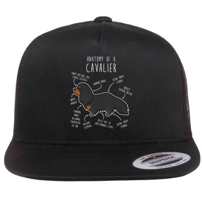 Cavalier King Charles Spaniel Dog Black Tan Funny Anatomy Flatbill Hat