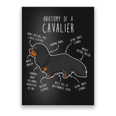 Cavalier King Charles Spaniel Dog Black Tan Funny Anatomy Poster