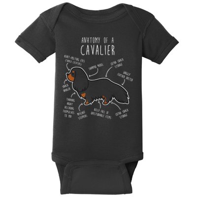 Cavalier King Charles Spaniel Dog Black Tan Funny Anatomy Baby Bodysuit