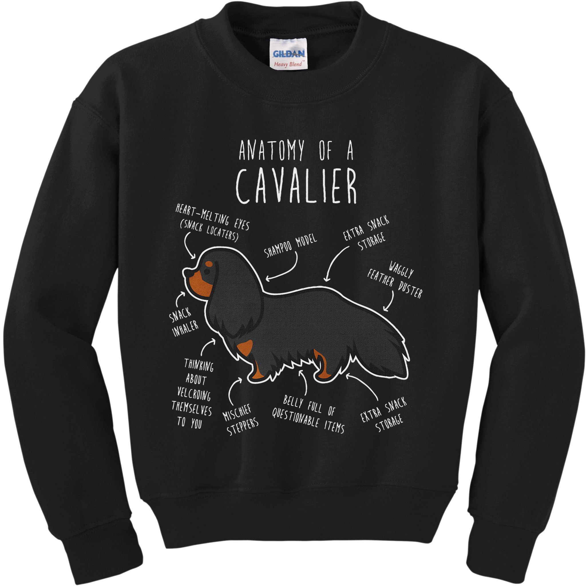 Cavalier King Charles Spaniel Dog Black Tan Funny Anatomy Kids Sweatshirt