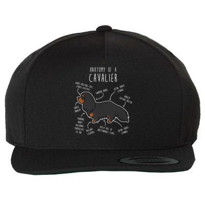 Cavalier King Charles Spaniel Dog Black Tan Funny Anatomy Wool Snapback Cap
