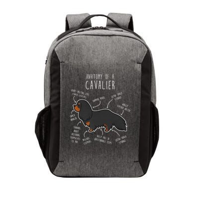 Cavalier King Charles Spaniel Dog Black Tan Funny Anatomy Vector Backpack