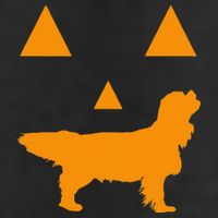 Cavalier King Charles Spaniel Halloween Spooky Face Funny 7 Panel Mesh Trucker Snapback Hat