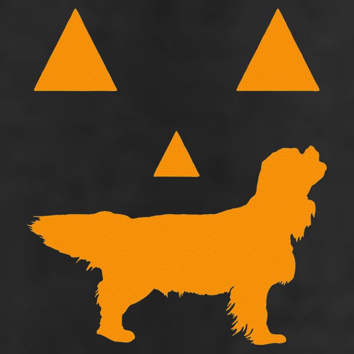 Cavalier King Charles Spaniel Halloween Spooky Face Funny 11oz C Handle Ceramic Mug