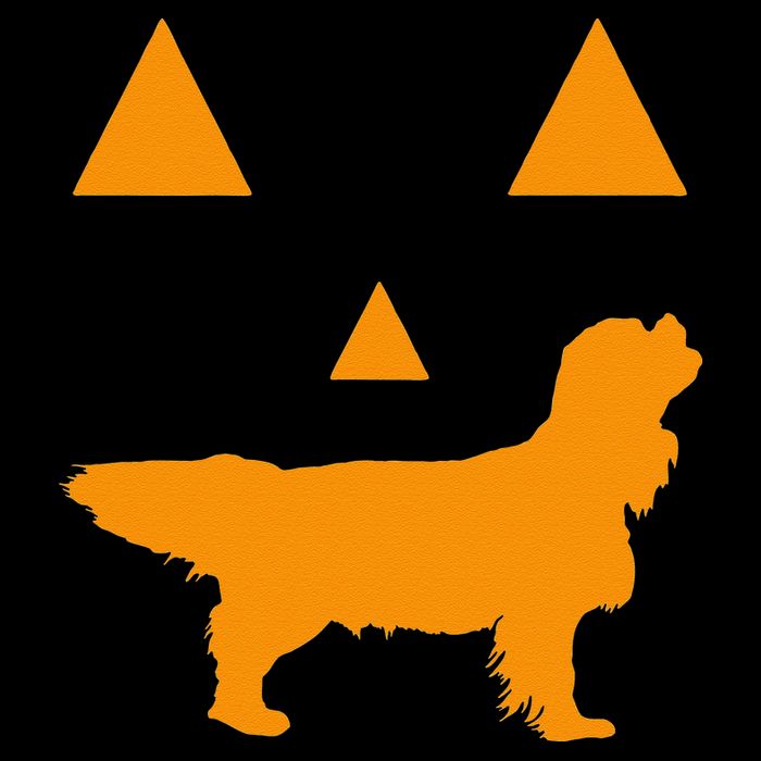 Cavalier King Charles Spaniel Halloween Spooky Face Funny Flat Bill Trucker Hat