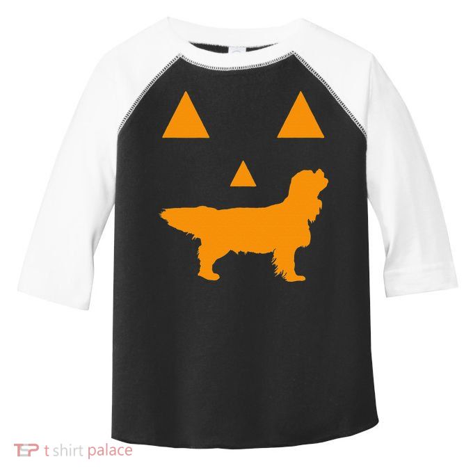 Cavalier King Charles Spaniel Halloween Spooky Face Funny Toddler Fine Jersey T-Shirt