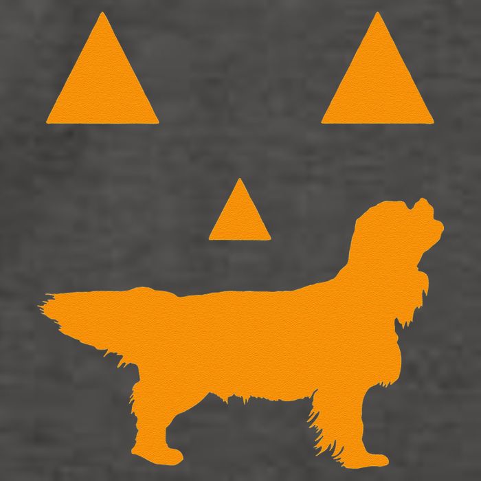 Cavalier King Charles Spaniel Halloween Spooky Face Funny Vector Backpack