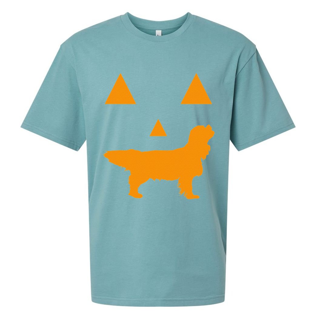 Cavalier King Charles Spaniel Halloween Spooky Face Funny Sueded Cloud Jersey T-Shirt