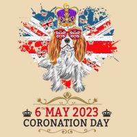 Cavalier King Charles Coronation Ideas  & Union Jack Zip Tote Bag