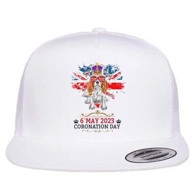Cavalier King Charles Coronation Ideas  & Union Jack Flatbill Hat