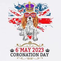 Cavalier King Charles Coronation Ideas  & Union Jack Wool Snapback Cap