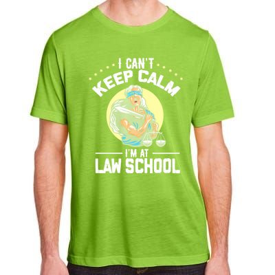 Cant Keep Calm At Law School Future Lawyer Scale Graduation Cute Gift Adult ChromaSoft Performance T-Shirt