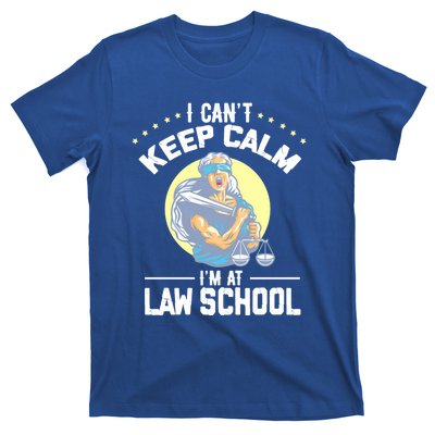 Cant Keep Calm At Law School Future Lawyer Scale Graduation Cute Gift T-Shirt