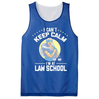 Cant Keep Calm At Law School Future Lawyer Scale Graduation Cute Gift Mesh Reversible Basketball Jersey Tank