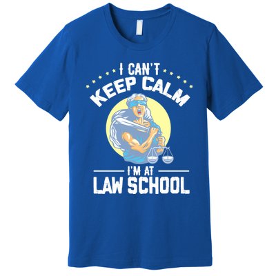 Cant Keep Calm At Law School Future Lawyer Scale Graduation Cute Gift Premium T-Shirt