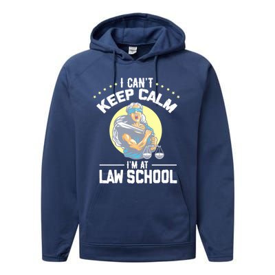 Cant Keep Calm At Law School Future Lawyer Scale Graduation Cute Gift Performance Fleece Hoodie