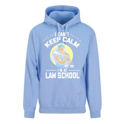 Cant Keep Calm At Law School Future Lawyer Scale Graduation Cute Gift Unisex Surf Hoodie