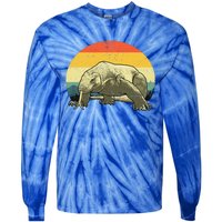 Cute Komodo Dragon Vintage Komodo Dragon Tie-Dye Long Sleeve Shirt