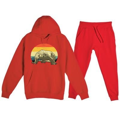 Cute Komodo Dragon Vintage Komodo Dragon Premium Hooded Sweatsuit Set