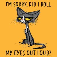 Cat Kitten Did I Roll My Eyes Out Loud Funny Sarcastic Pom Pom 12in Knit Beanie