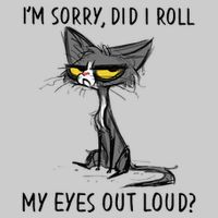 Cat Kitten Did I Roll My Eyes Out Loud Funny Sarcastic Tie-Dye T-Shirt