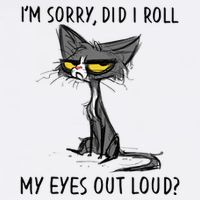 Cat Kitten Did I Roll My Eyes Out Loud Funny Sarcastic Flatbill Hat