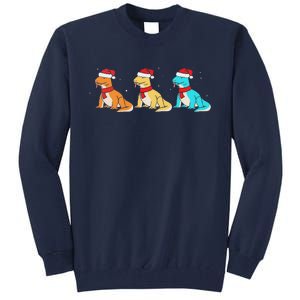 Christmas Komodo Dragon Santa Hat Monitor Lizard Tall Sweatshirt