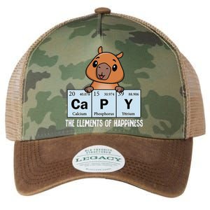 Cute Kawaii Elements Of Happiness Capybara Legacy Tie Dye Trucker Hat