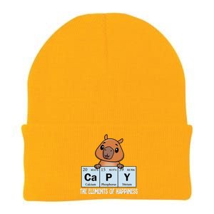 Cute Kawaii Elements Of Happiness Capybara Knit Cap Winter Beanie