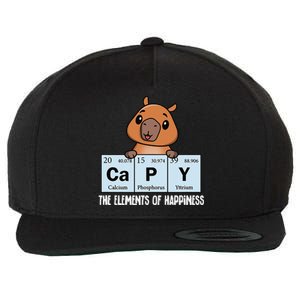 Cute Kawaii Elements Of Happiness Capybara Wool Snapback Cap