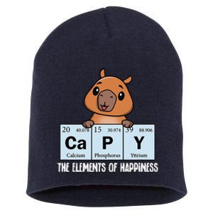 Cute Kawaii Elements Of Happiness Capybara Short Acrylic Beanie