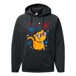 Cat Kitty Fireworks Funny 4th Of July Independence Day Gift Performance Fleece Hoodie