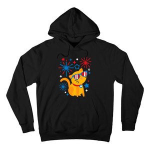 Cat Kitty Fireworks Funny 4th Of July Independence Day Gift Hoodie