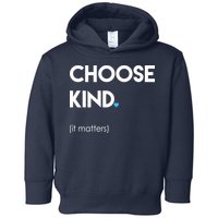 Choose Kind It Matters Toddler Hoodie
