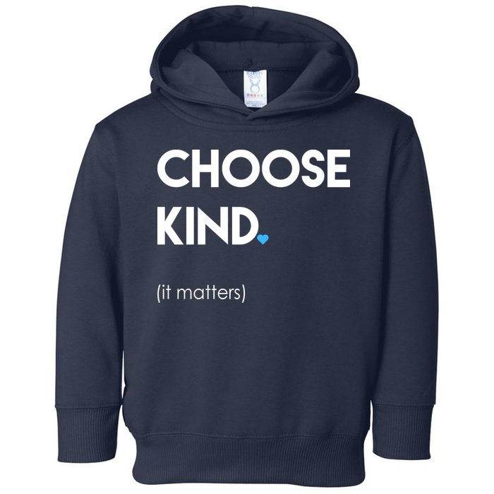 Choose Kind It Matters Toddler Hoodie