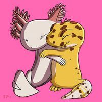Cute Kawaii Leopard Gecko Hugging Axolotl Funny Stripe Pom Pom Beanie