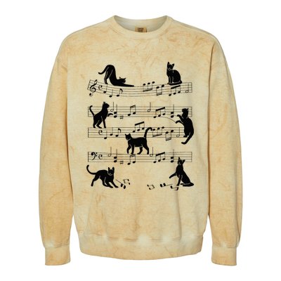 Cat Kitty Playing Music Clef Piano Musician Art Colorblast Crewneck Sweatshirt