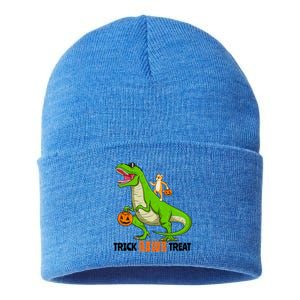 Cat Kitty Riding T Rex Dinosaur Halloween Trick Rawr Treat Meaningful Gift Sustainable Knit Beanie