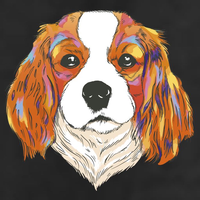 Cavalier King Spaniel Colorful Dog Golf Towel