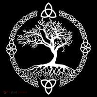 Celtic Knot Tree of Life Yggdrasill Poster