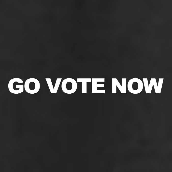 Charlie Kirk Wearing Go Vote Now Hat